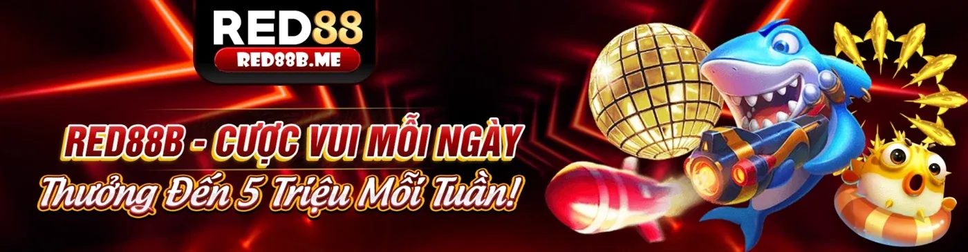 Sân đấu đá gà trực tiếp sôi động